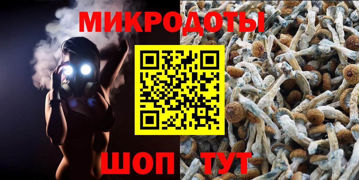 Самара  Псилоцибиновые грибы ЛСД  Вход с VPN 